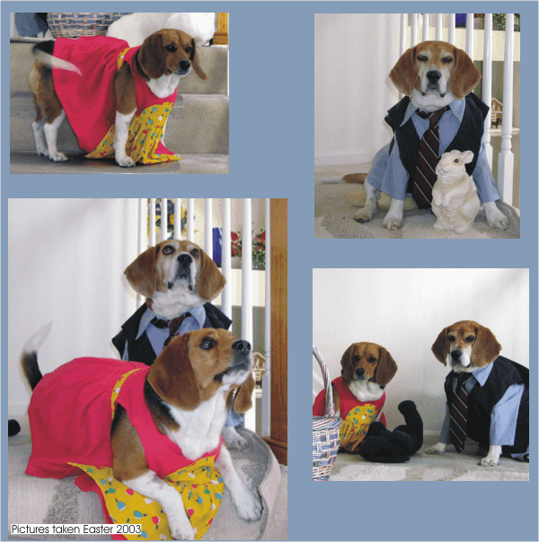Bob Beagle & Betty Beagle in their Easter finest