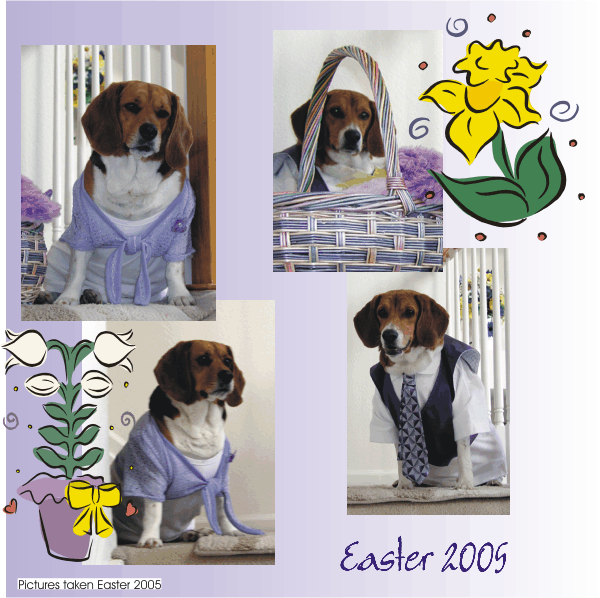 Betty Beagle & Billy Beagle waiting for the Easter Parade