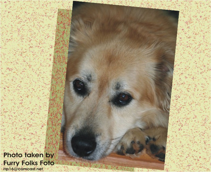 Contact rrp16@comcast.net to schedule an appointment