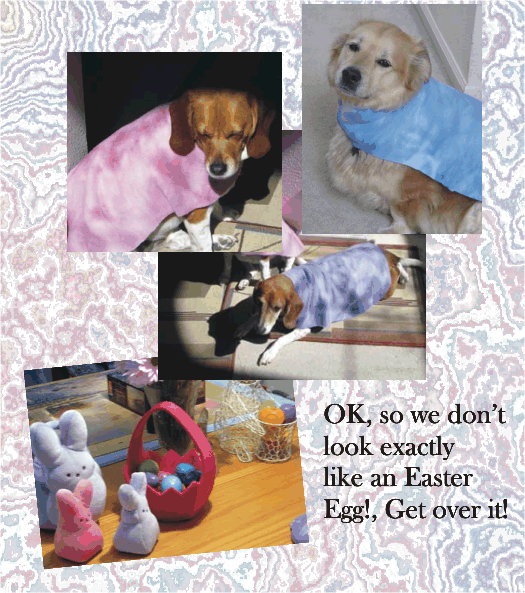 OK we don't look exactly like Easter Eggs -- get over it