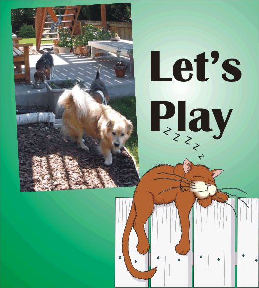 Let's Play