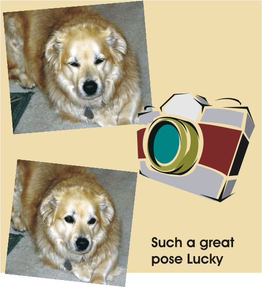 What great poses, Lucky Dog