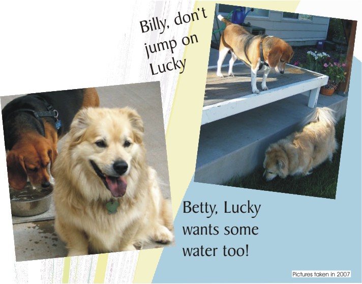 Lucky playing with his cousins, Betty & Billy Beagle