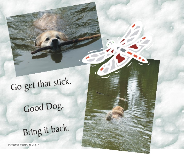 Nothing like a swim to cool a lucky-dog off