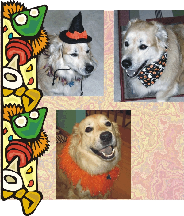 Lucky always ready for Halloween