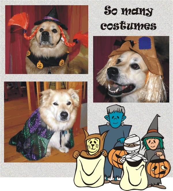 So many costumes