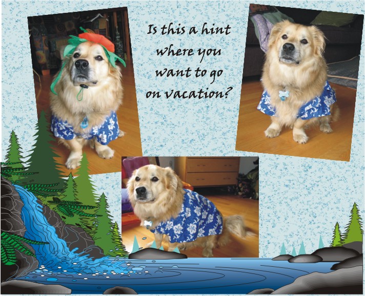 Ready for a vacation, are you Lucky?