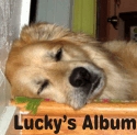 Lucky's Album