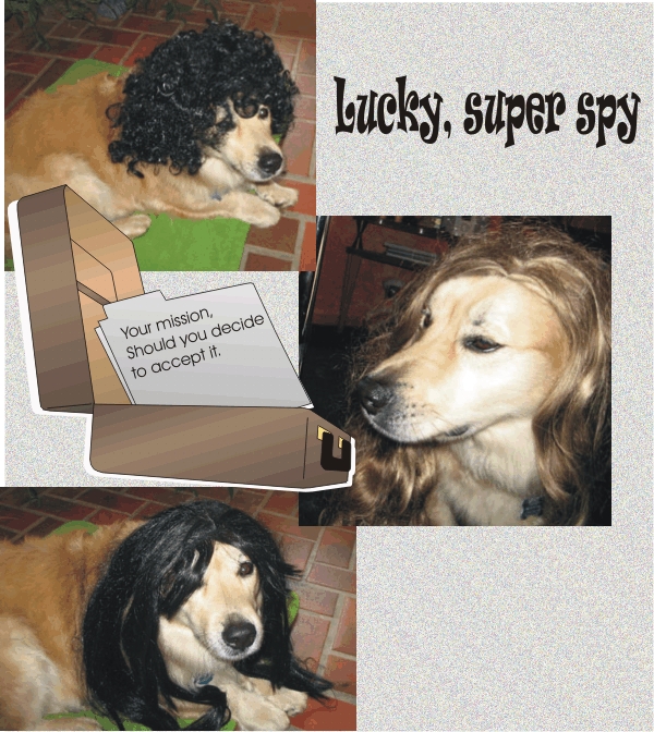 Lucky Dog - Super Spy