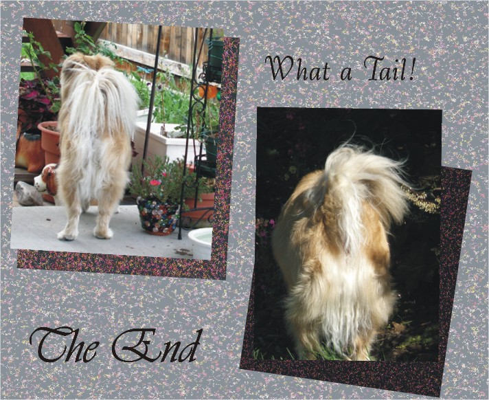 The End - what a tail!