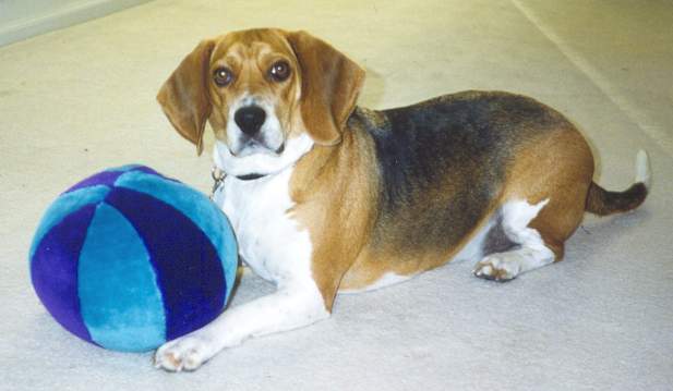 Bob with Basketball toy 1999