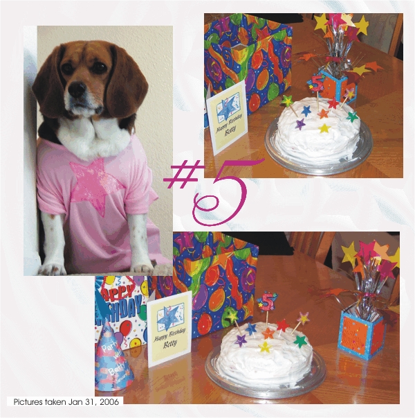Betty Sue Beagle turns five today