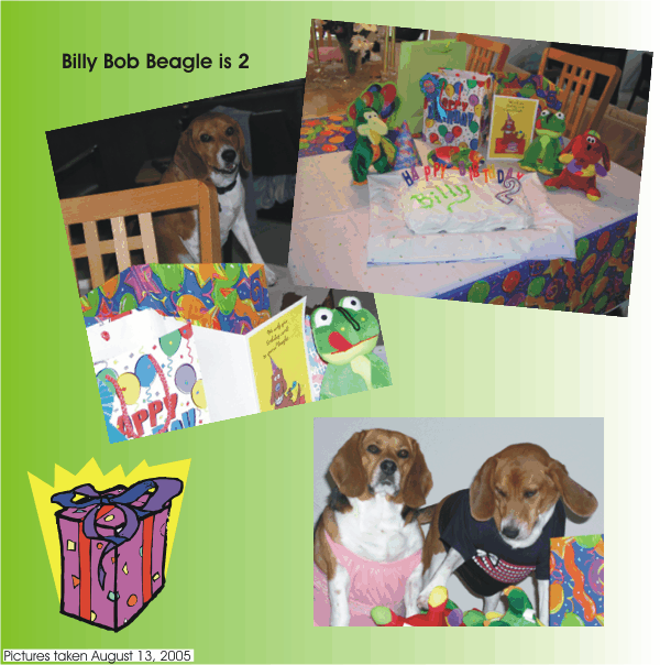 Billy Bob Beagle celebrates his second birthday