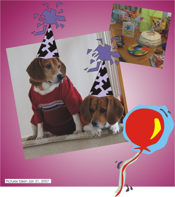 Happy Birthday, Happy Birthday Betty Sue Beagle!