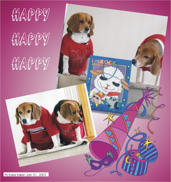 Happy Birthday Betty Beagle - #6