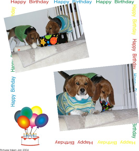 Billy Beagle joins Betty Beagle at her 3rd birthday party