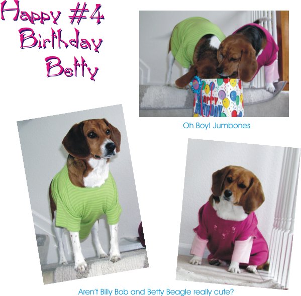 Betty Beagle's 4th Birthday.  Billy Beagle wants to play!