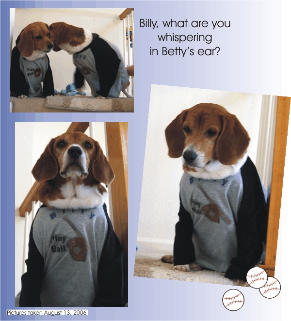 Play ball - Billy Beagle & Betty Beagle are ready