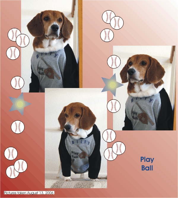 Billy Beagle ready to play ball
