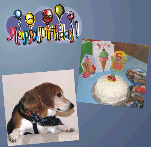 Billy Beagle turns FIVE.  Happy Birthday Billy!