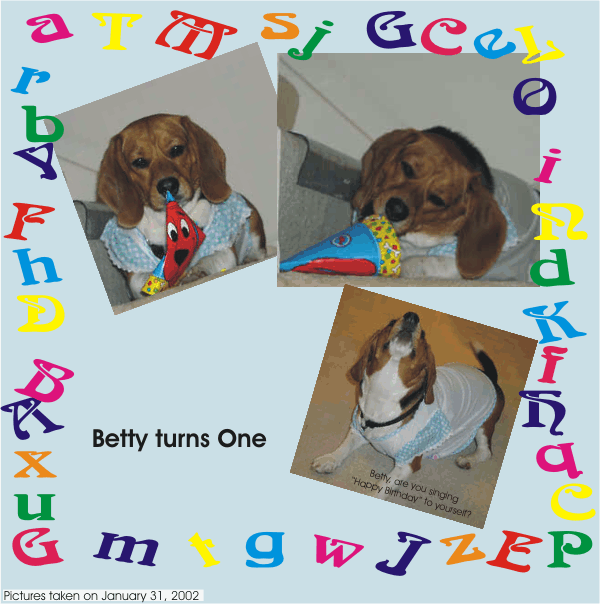 Betty Beagle turns one.  Happy Birthday Betty!