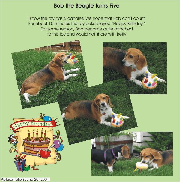 Bob the Beagle turns 5, June 2001