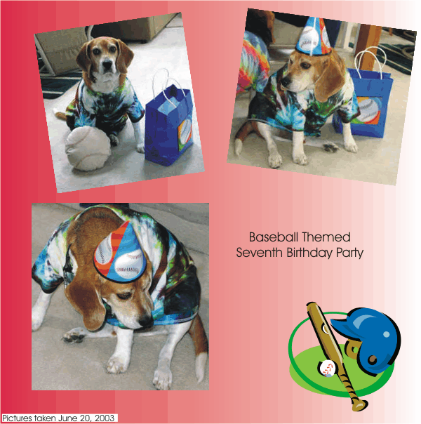 Bob the Beagle's baseball themed birthday party