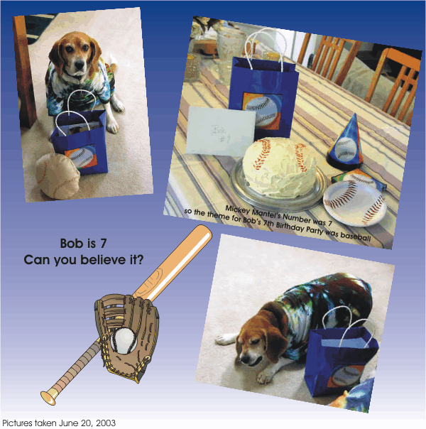 Bob the Beagle celebrates his 7th birhday with a baseball theme