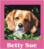 Click here to view Betty Sue & Billy Bob Beagle's Photo Album