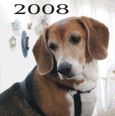 Billy Bob Beagle's 2008 Photo Album