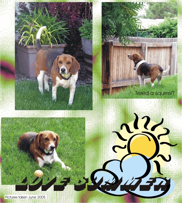 Billy Bob Beagle loves his outdoor adventures!
