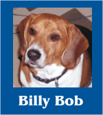 Go to Betty Sue & Billy Bob Photo Albums
