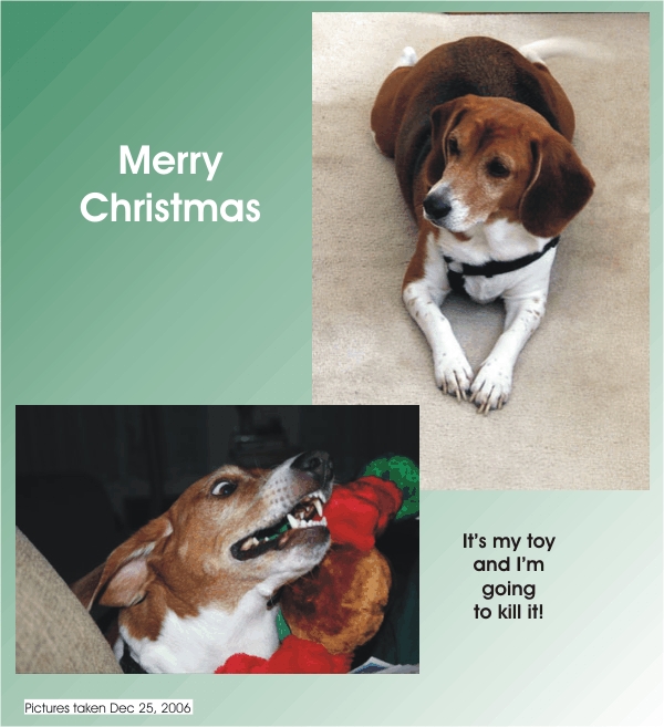 Billy Beagle says, "Merry Christmas"