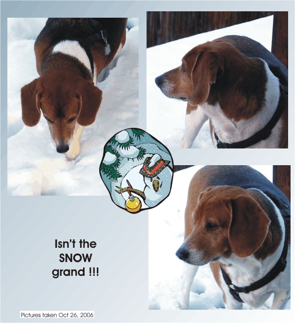 Billy Beagle says, "This snow is grand"