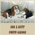 Click Here to see  Adorable Pictures of Bob the Beagle & Betty Beagle