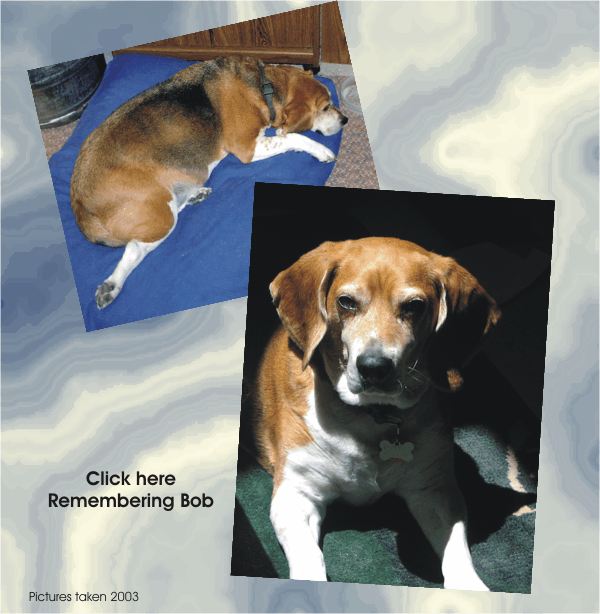 Bob Beagle is gone now, but never forgotten