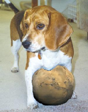 bobball.jpg (19130 bytes)