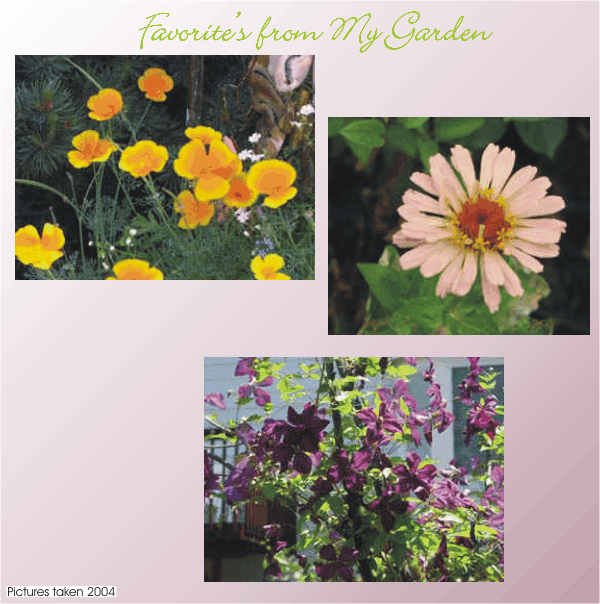 Jan's 2004 Garden, Favorite Flowers