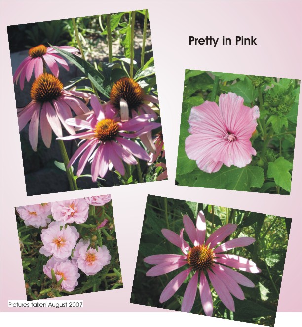 Pretty in Pink