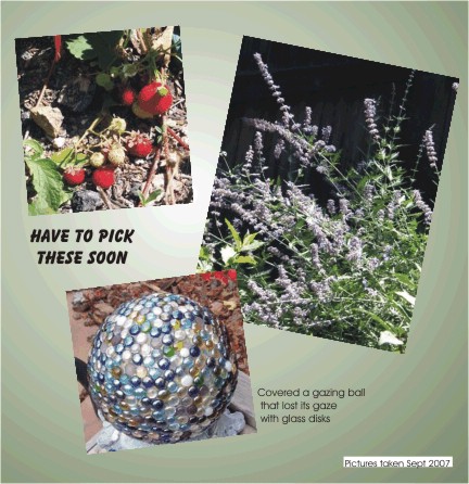 Growing season almost over