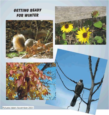 Getting ready for Winter