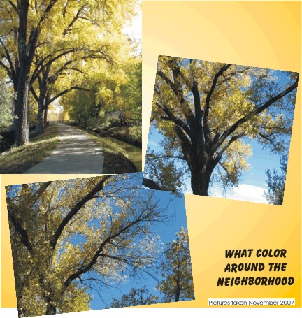 Just look at the fall colors