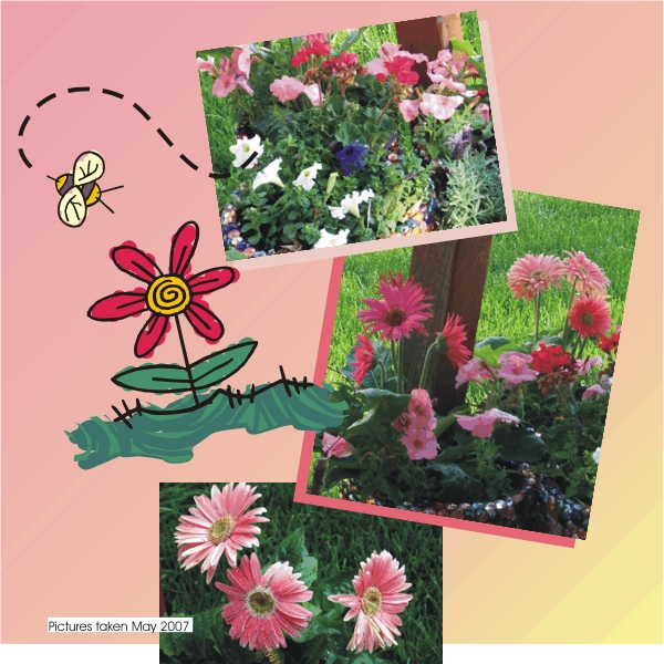 Pink was the color of choice.  Gerber daisies and petunias - what a nice combination