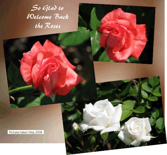 So glad to Welcome Back the Roses