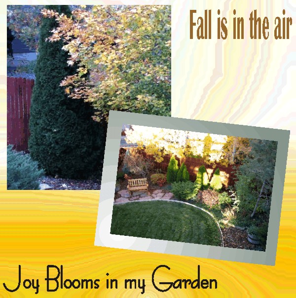 fall is in the air