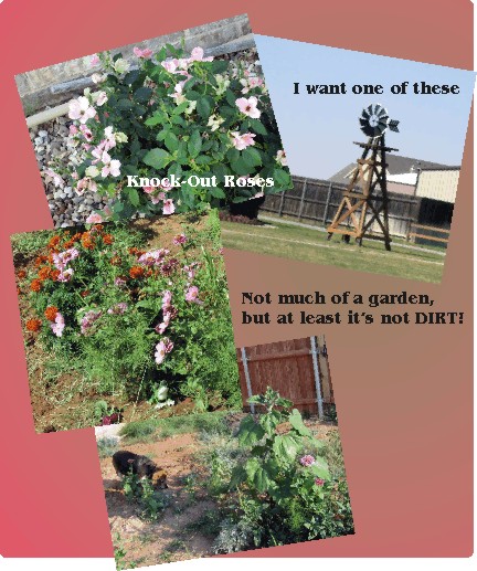 Knock-Off Roses