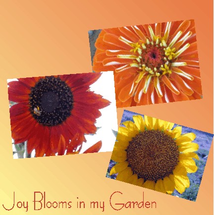 More zinnias & sunflowers - at least they thrived