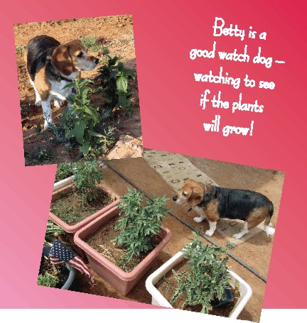 Betty Sue Beagle watching the plants grow