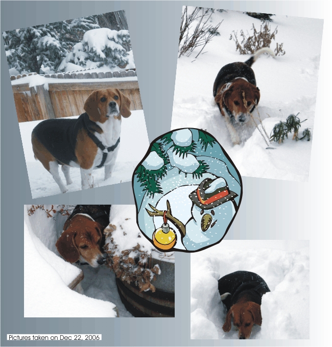 Betty Beagle & Billy Beagle do like the snow
