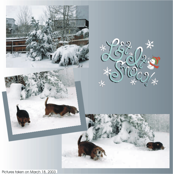 Bob & Betty Beagle love the big snow